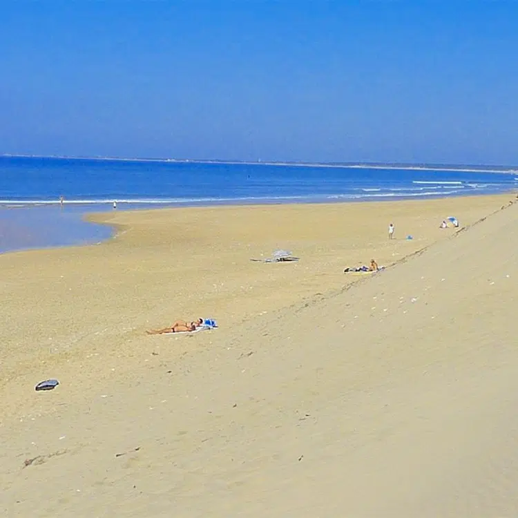 camping paradis st tro park camping bord mer saint trojan les bains