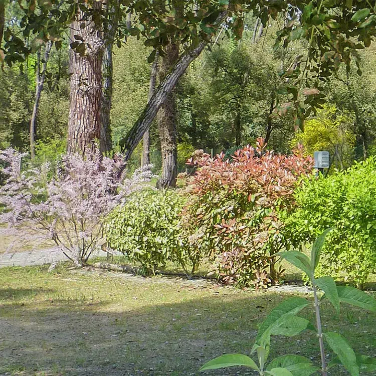 camping paradis st tro park location emplacement saint trojan les bains