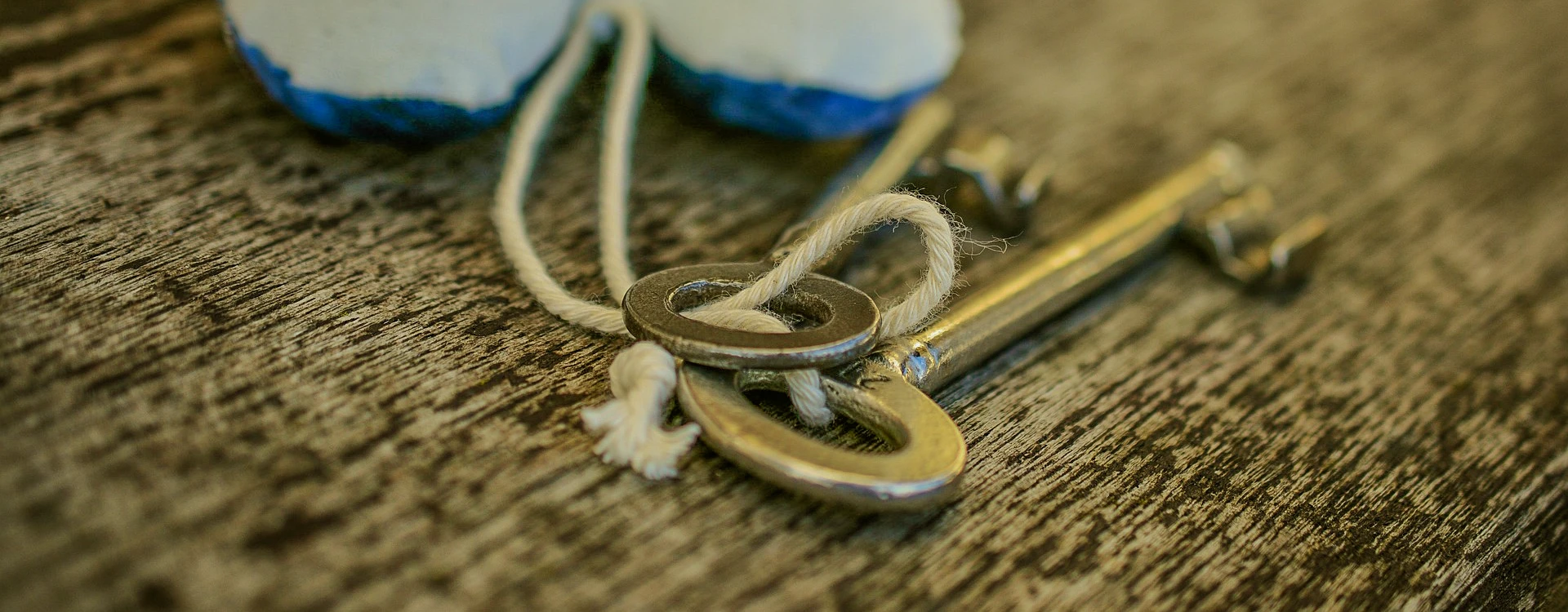 camping paradis st tro park mentions legales