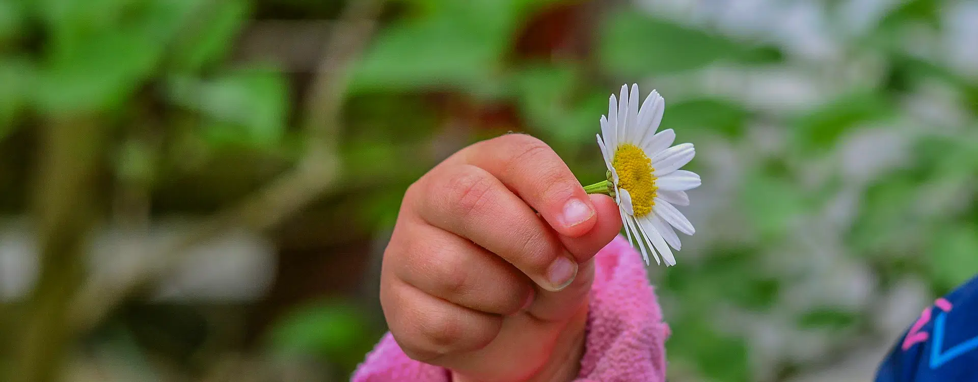 camping paradis st tro park politique de confidentialite