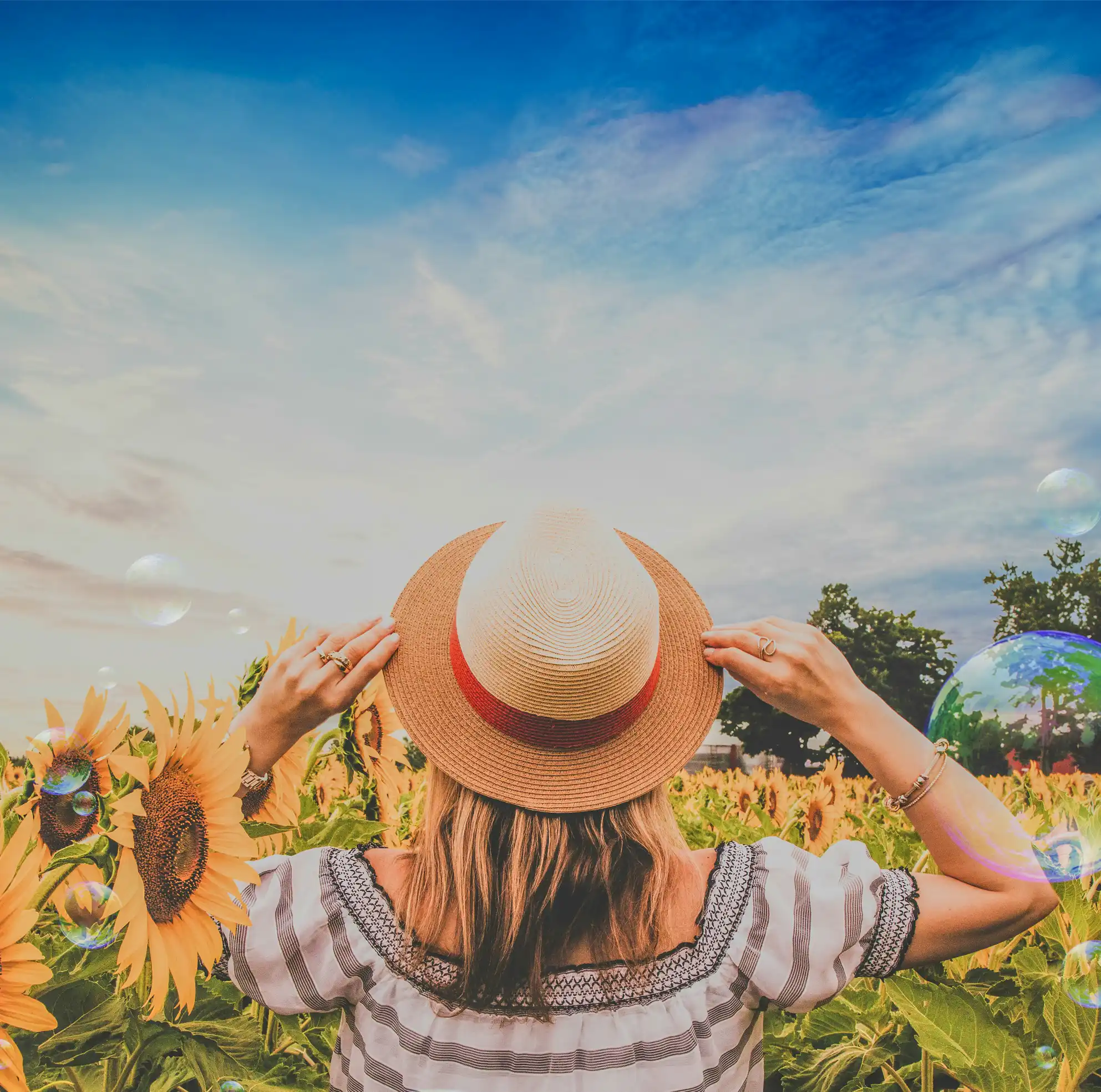 la belle vie avec camping paradis